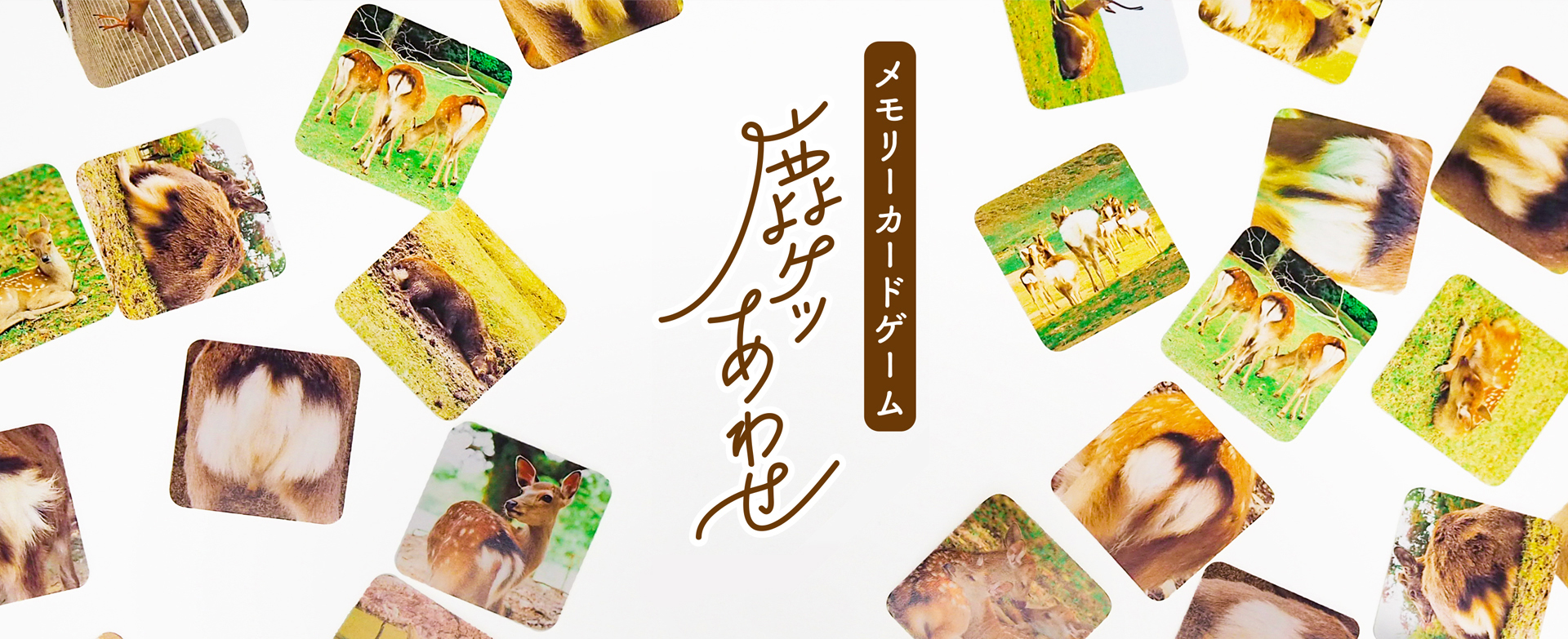 メインイメージ